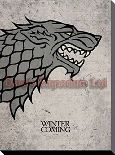Image of Pyramid International "Game of Thrones Stark Canvas Print, Cotton, Multi-Colour, 1.80 x 30.00 x 40.00 cm