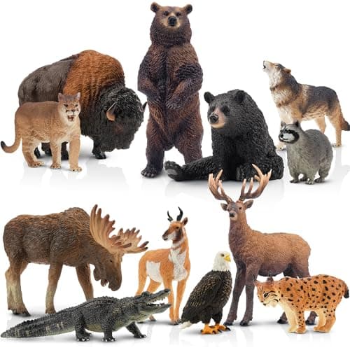 Image of toymany 12PCS North American Forest Animal Figurines, Realistic Jungle Animal Set Includes Raccoon,Lynx,Wolf,Bear,Eagle, Educational Toy Cake Toppers Christmas Birthday Gift for Kids Toddlers