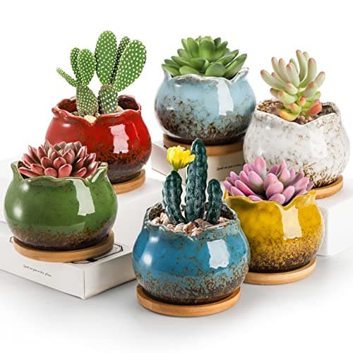 Image of TOPZEA Set of 6 Succulent Planters, 10.2 cm (4 inches) Glazed Ceramic Pot for Plants, Succulent Planter with Drainage and Saucer, Mini Bonsai Planter, Flower Pot for Succulents, Cactus