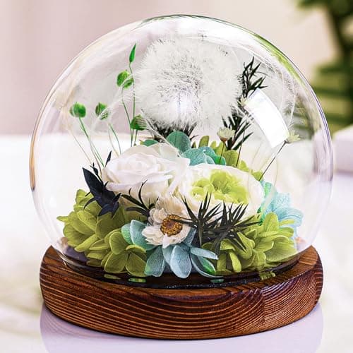 Image of Touloube Mother's Day Women Gifts - Dandelion in A Glass Gift Ideas for Women, Birthday Gift for Girlfriend Sister Teacher Mom Grandma, Wish Filler Gift Encouragement for Her for Birthday, Wedding