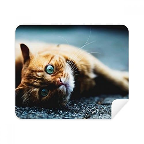 Image of Animal Pure Blue Eye Cat Photograph Phone Screen Cleaner Glasses Cleaning Cloth 2pcs Suede Fabric