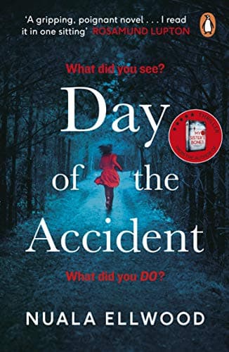 Image of Day of the Accident: The compelling and emotional thriller with a twist you won't believe