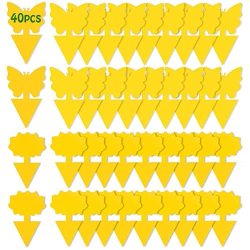 Image of Fruit Fly Trap, 40 Pack Fruit Fly Killer Yellow Sticky Bug Insect Killer Double-sided Insect Catcher Sticky Bug Sticky Fruit Fly Killer for Houseplant Indoor and Outdoor