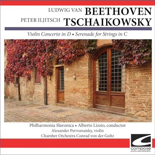 Image of Tchaikovsky Serenade For Strings in C major, Op. 48 - Pezzo in forma di Sonatina