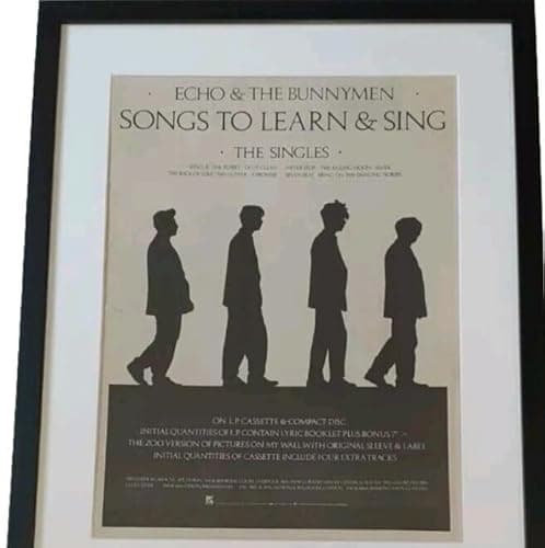 Image of Echo & The Bunnymen Songs to Learn & Sing Framed Original Album Advert, Black Frame, Music Memorabilia