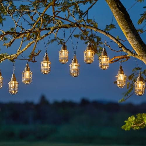 Image of Smart Garden 365 Solar 10 Anglia String Lights 20L