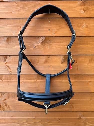 Image of Premium Anatomical Leather Horse Black Headcollar Padded Comfort Fit with Brass Fittings (Cob)