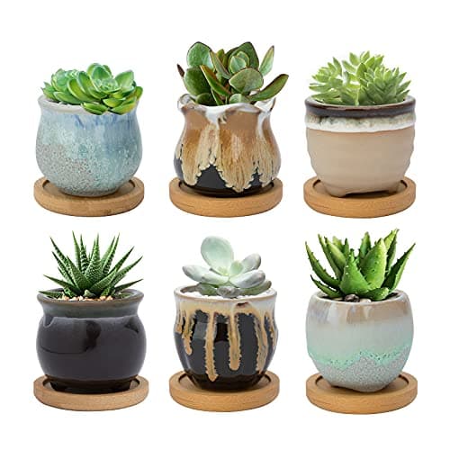 Image of FORAGIFT 6CM Ceramic Succulent Plant Pot, Cactus Pots for Indoor Outdoor Plants, Small Flower Pot Flowing Glaze with Drainage and Bamboo Tray, Great for Home Decor, Set of 6 (Plants Not Included)