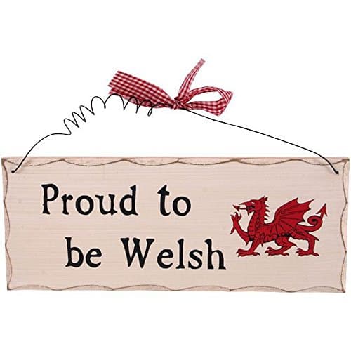 Image of Hanging Sign | "Proud To Be Welsh" | H:10cm W:25cm D:0.7cm | pack of 1