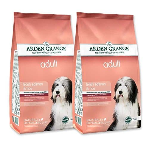 Image of Arden Grange Dry Dog Food Salmon and Rice Hypoallergenic 2 x 12kg