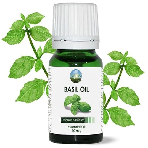 Image of NPOW 100% Basil Essential Oil- Pure Aromatherapy Oil for Diffuser, Essential Oils for Home, Basil Aromatherapy Diffuser, Fragrance - 10ml