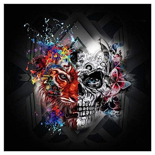 Image of ABEUTY 5D Diamond Painting DIY Full Drill Rhinestones, Two Sides Skull, Paint with Diamonds Crystal Diamond Art Kits (Skull)