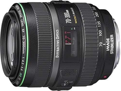 Image of Canon EF - Telephoto zoom lens - 70 mm - 300 mm - f/4.5-5.6 DO IS USM - Canon EF (Renewed)