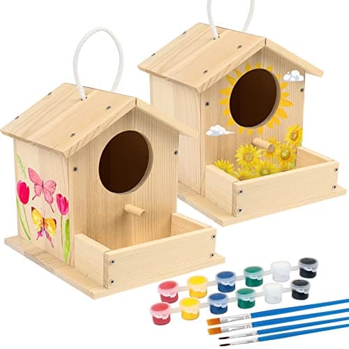 Image of LotFancy Bird House Kits for Kids, 2 Pack, DIY Wooden Birdhouse Building Kit, Bird Box Arts and Crafts for Kids and Adults to Build and Paint, Including Paints and Brushes