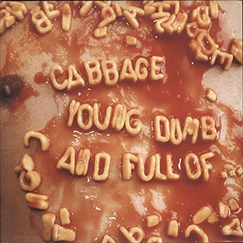 Image of Young, Dumb and Full Of... (2-LP) [VINYL]