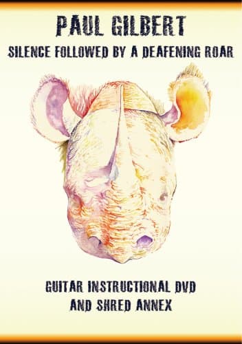 Image of Silence Followed By A Deafening Roar [DVD]