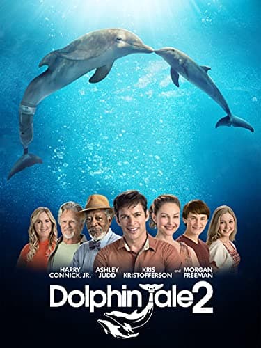 Image of Dolphin Tale 2