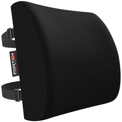 Image of FORTEM Lumbar Support Cushion, Back Support for Office Chair and Car Seat, Back Rest for Gaming, Memory Foam Pillow, Desk Chair Cushion, Breathable & Washable Cover, Adjustable Straps