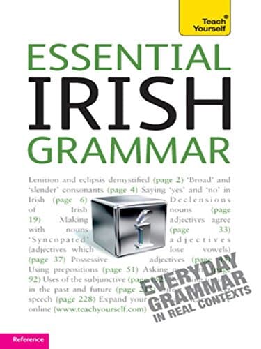 Image of Essential Irish Grammar: Teach Yourself