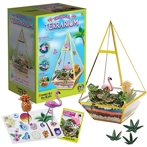 Image of Creativity for Kids Tropical Terrarium Craft Kit - Kids Terrarium Kit for Ages 7+, STEAM Activity