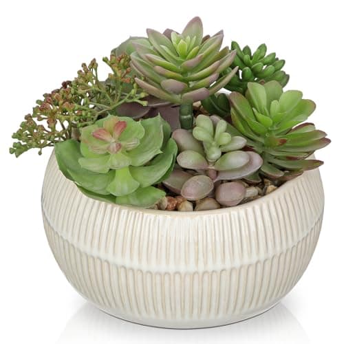 Image of Oairse Artificial Succulent Arrangement Assorted Realistic Faux Succulent Plants in Ceramic Pot, 14cm Lifelike Fake Plants Indoor for Home Office Bathroom Kitchen Table Shelf Decor
