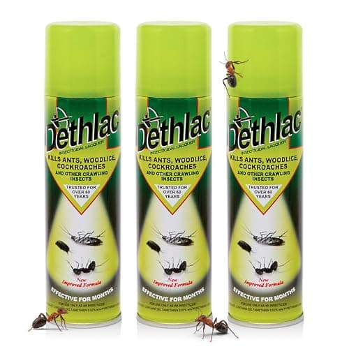 Image of 3 x Dethlac Spray | Ant Killer Indoor & Outdoor 250ml Aerosol | Insect Killer Indoor & Outdoor Use – Insecticide Bug Spray Lacquer - Effective for Ants, Cockroach, Woodlice & Other Crawling Insects