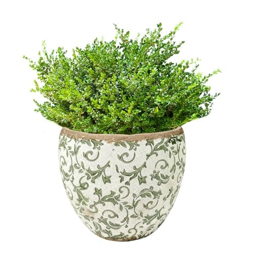 Image of Indoor Plant Pot Botanical Floral Print Ceramic Jardinière Planter with Distressed Effect Finish Watertight Cachepot Vintage Victorian Style Houseplant Pot Windowsill Herb Planter (Large) - DZ89