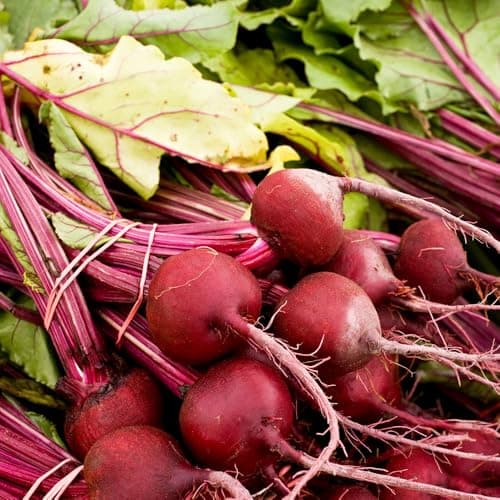 Image of Beetroot Boltardy Seeds – A Favourite for Early Sowing, with Bolt Resistance – RHS Award of Garden Merit – for Your Beautiful Kitchen Garden