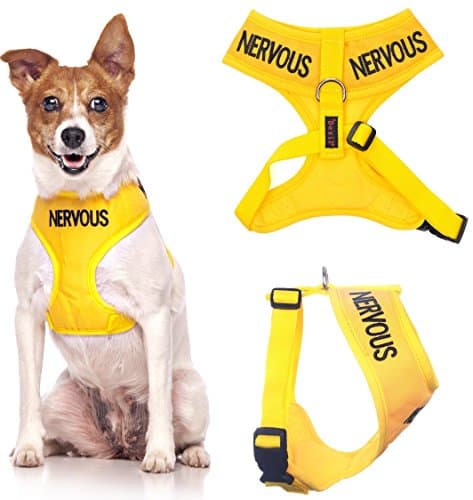 Image of Dexil NERVOUS (Give Me Space) Yellow Colour Coded Non-Pull Front and Back D Ring Padded and Waterproof Vest Dog Harness PREVENTS Accidents By Warning Others Of Your Dog In Advance (S)
