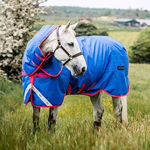 Image of Horseware Amigo Bravo 12 Reflective Plus Medium Horse Turnout Rug - Blue Reflective Pink 6ft