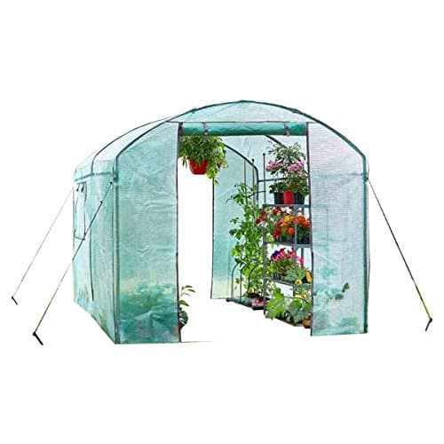 Image of Smart Garden Pro-Tunnel Gro Zone Max Walk in Polytunnel, Greenhouse