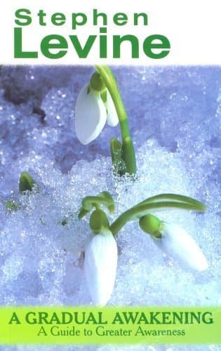 Image of Gradual Awakening