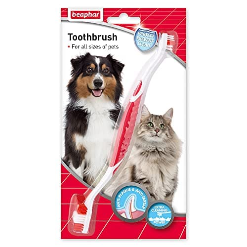 Image of Beaphar - Double-Ended Toothbrush - Dental Care for Dogs & Cats - Targets Hard-to-Reach Areas - Helps Prevent Bad Breath & Combat Plaque - Suitable for All Mouth Sizes