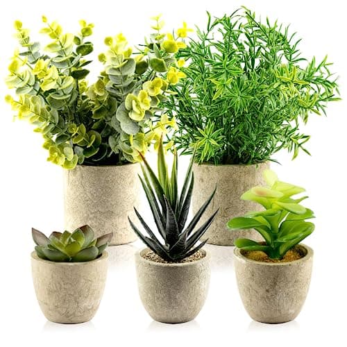 Image of TRNZ Decorative Artificial Plants in Pots Set of 5 - Small Plastic Fake Plants Indoor with Pot - Eucalyptus Rosemary Succulents Mini Faux Plants for Wall Desk Bedroom Decoration