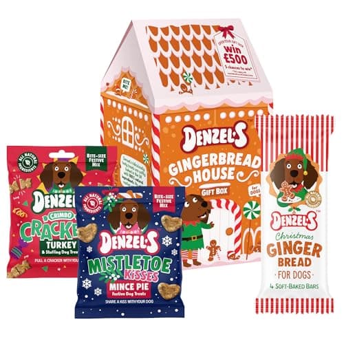 Image of Denzel’s Christmas Dog treats - Gingerbread House Gift Box for Dogs (140g)