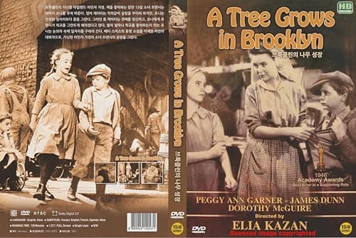 Image of A Tree Grows in Brooklyn (1945) French,Spanish Subtitles by Elia Kazan " Won 1 Oscar 4 wins Film"/ 2023 REMASTER DVD