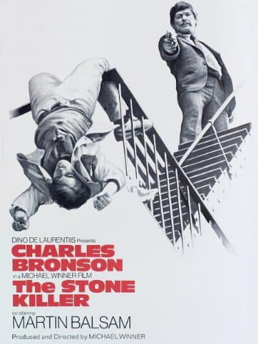 Image of The Stone Killer