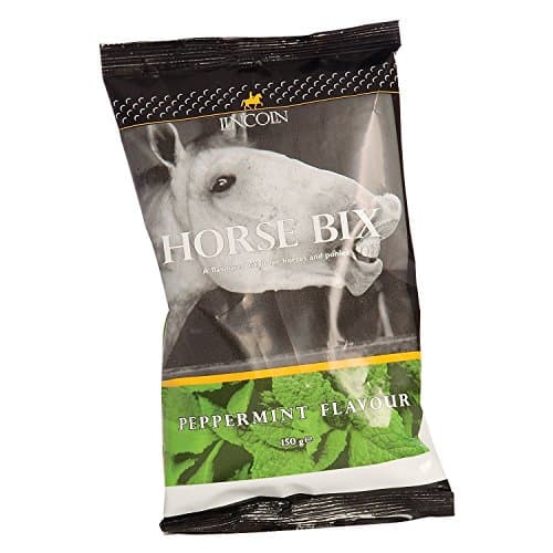 Image of Lincoln Horse Bix Treats Mint 150g