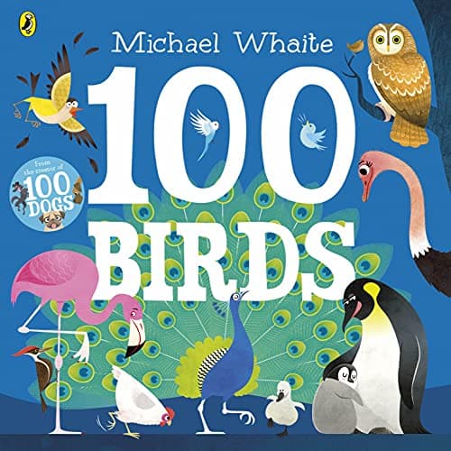 Image of 100 Birds