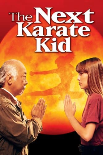 Image of The Next Karate Kid