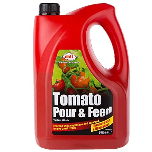 Image of Doff Tomato Pour Feed