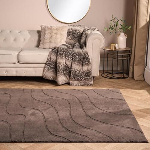 Image of OHS Contour Tufted Rugs Living Room Large 160 x 230, Soft Fluffy Rugs for Bedroom Lounge Home Decorations Modern Carpet Non Slip Non Shedding Low Pile Area Rug, Coffee