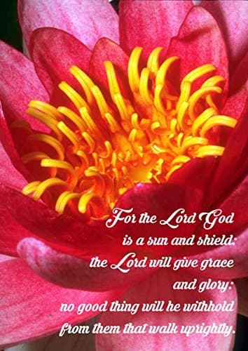 Image of Bible Quote Verse - And the most High gave me grace and favour before Enemessar, so that I was his purvey - A4 Photo Print