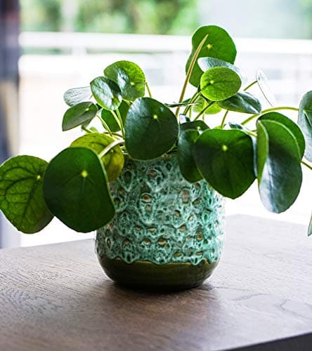 Image of Ivyline Emerald Reactive Glaze Planter H16Cm D16Cm