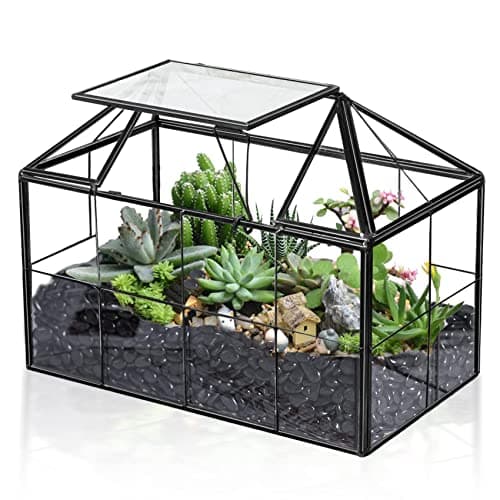 Image of Glass Terrarium Greenhouse House Shape Display Box Planter for Succulents Plant Terrarium Container Mordern Tabletop Decor Gardern DIY Kit(9.1"L x 5.4"W x 7.3"H)