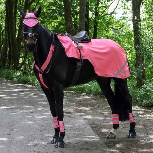 Image of Hi Viz Mesh Exercise Sheet – Lightweight Breathable Reflective Horse Riding Sheet