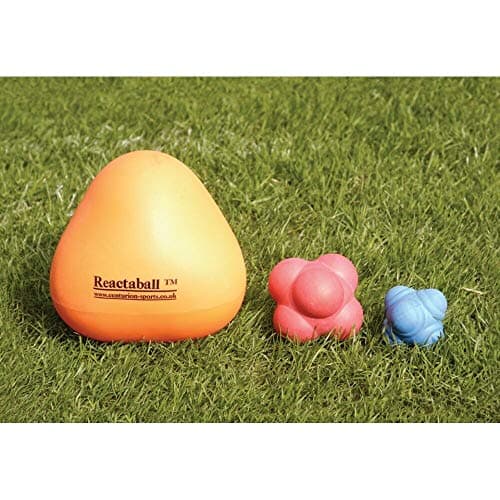 Image of Precision 10cm Reaction Ball