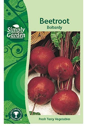 Image of Simply Garden Beetroot Boltardy Seeds Root Vegetable Grow Your Own Garden