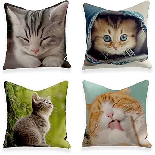 Image of Cushion Covers 12x12 inch Outdoor Cushions Set of 4 CUTE CAT Printed Pillow Covers Square Double Sided Velvet Cushions for Patio Couch Balcony Farmhouse Garden Decorative Pillowcases a1011
