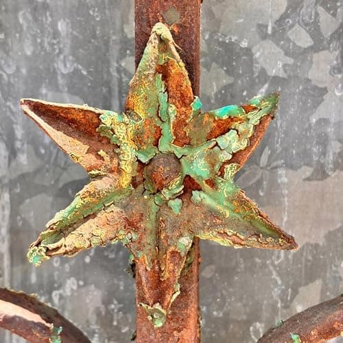 Image of IRON FLOWER